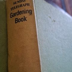 Gardening