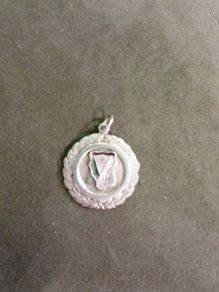 Kilkenny Gaa Medal 1970