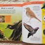 Miles Kelly Junior Encyclopedia Image 8
