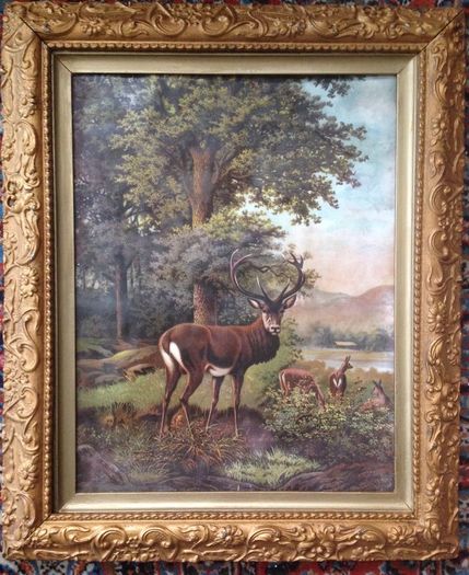 19th century chromolithograph