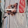 Ufc Octagon Kevin Lynch Image 9