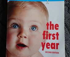 What to Expect - The First Year