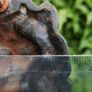 Antique Cast Iron Lion Head Door Knocker Image 6