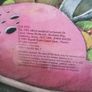 Rare children's book 1991 edition. Image 3