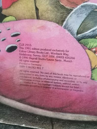 Rare children's book 1991 edition.