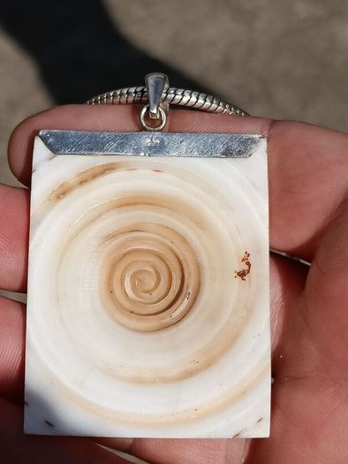 Stunning Sterling Silver Natural Shell Pendant Set.