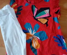 Next Summer Set 2-3 yrs