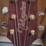 Guitars and Pedal Image 6