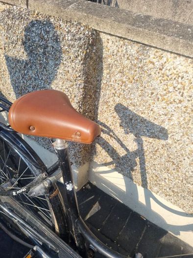 bike pobal small fixing