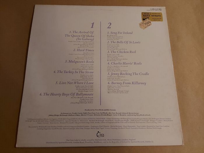 Collection Of Trad/folk Irish Vinyl Records - Clannad - Bothy Band - 10 Euro Each + Hundreds More