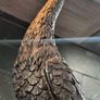 Fabulous Pair Peacock Bronze Metal Lamps Image 6