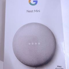 Google Nest Mini