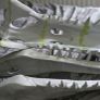 Spinosaurus Skull Image 5