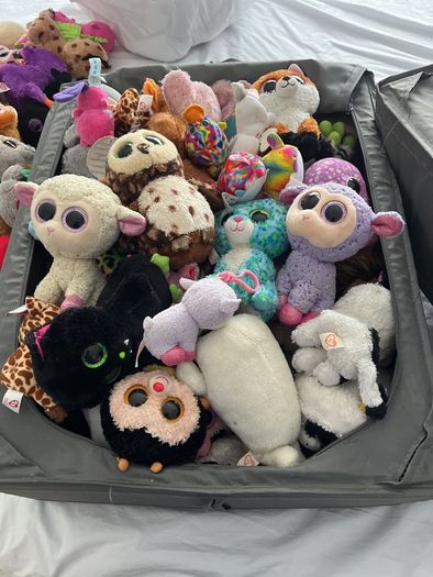beanie boos