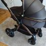 Egg2 double buggy Image 3