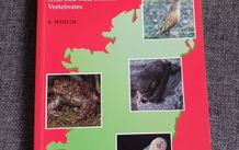 Threatened Mammals,Birds,Amphibians & Fish in Ireland/1993