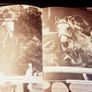 1969. The Show Jumping Book. Genevieve Murphy. Image 5