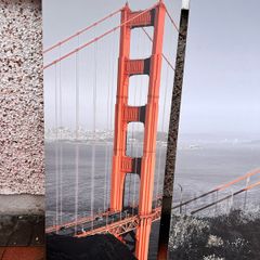 Golden Gate big picture