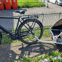 trailer with bike