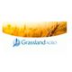 Grassland Agro