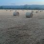 Straw bales Image 5