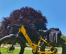 Electric Bicycle