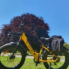 Electric Bicycle