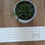 Mac Magic Keyboard Image 2