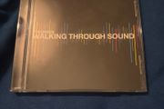 Pheonix25 - Walking Through Sound CD