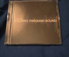 Pheonix25 - Walking Through Sound CD