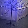 Tree...reduced To Image 7