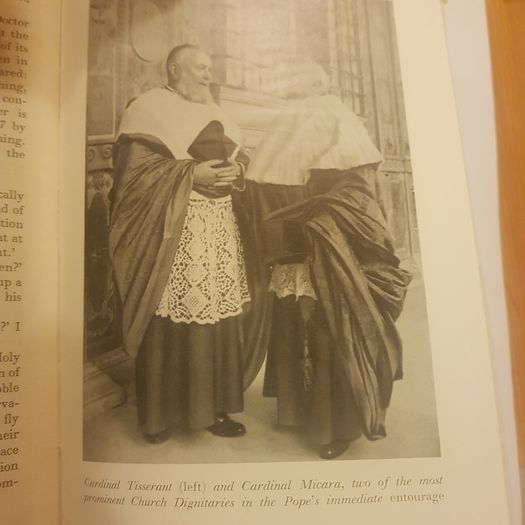 The Pope. A Portrait  From  Life.  By Constantine  Prince Of Bavaria
