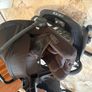 bugaboo fox 5 bundle Image 4