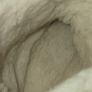 indoor 100 %sheep wool Image 5