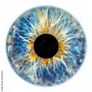 Iris Health Analysis Image 2