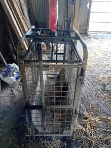 Sheep Weighing Scales