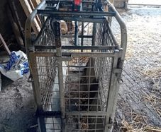 Sheep Weighing Scales