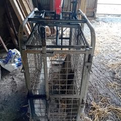 Sheep Weighing Scales