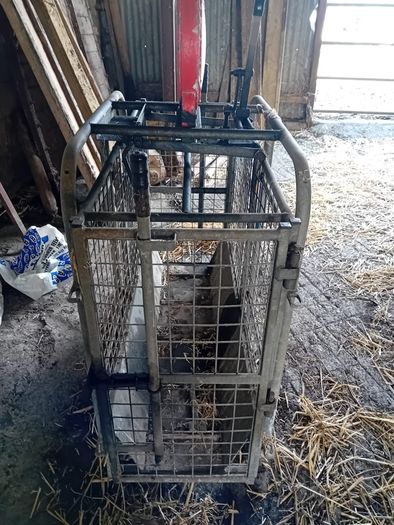 Sheep Weighing Scales