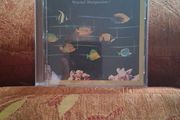 Cd Stevie Wonder's Original Musiquarium Double Cd
