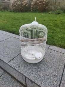 cage