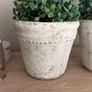 Two pots with faux trees Image 2