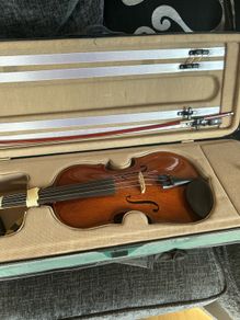 Violin/Fiddle