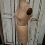 Vintage 1960's Wolf Mannequin Image 8