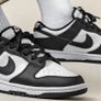 Nike Dunk Image 9
