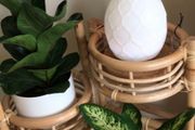 Plant Stand