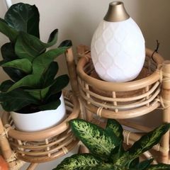 Plant Stand