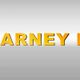 P. Carney Ltd