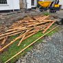 Free Timber Image 3