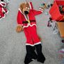 Scooby Doo Costume Image 3